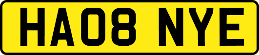 HA08NYE