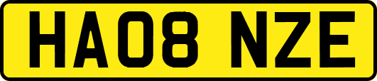 HA08NZE