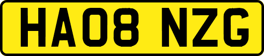 HA08NZG