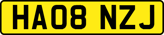 HA08NZJ