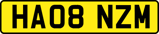 HA08NZM