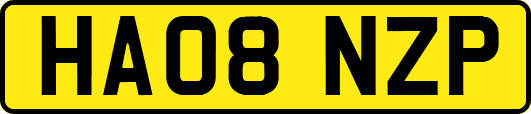 HA08NZP