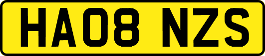 HA08NZS