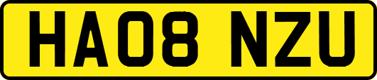 HA08NZU