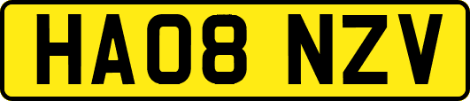 HA08NZV