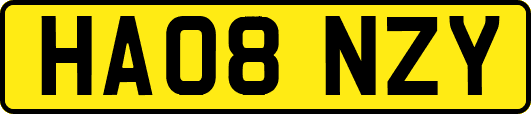 HA08NZY