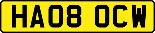 HA08OCW