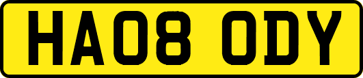 HA08ODY