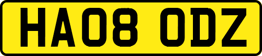 HA08ODZ