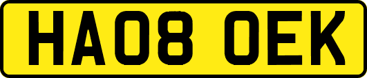 HA08OEK