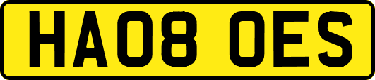 HA08OES