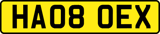 HA08OEX