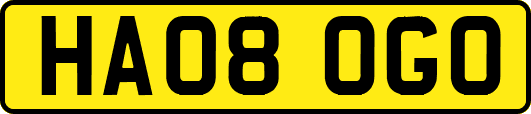 HA08OGO