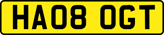 HA08OGT