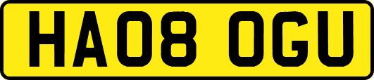 HA08OGU
