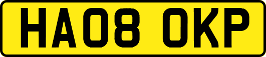 HA08OKP