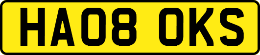 HA08OKS
