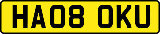 HA08OKU