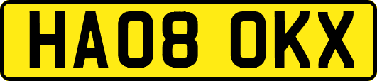 HA08OKX