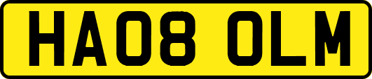HA08OLM