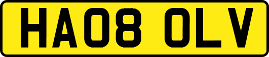 HA08OLV