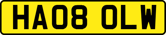HA08OLW