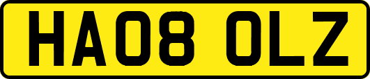 HA08OLZ