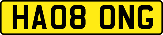 HA08ONG
