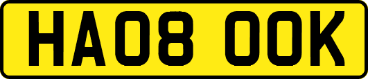 HA08OOK