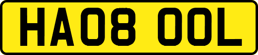 HA08OOL