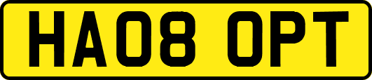 HA08OPT