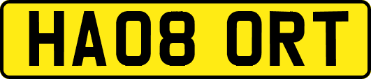 HA08ORT