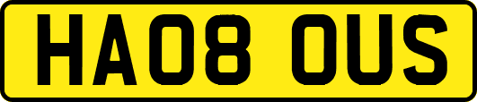 HA08OUS