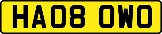 HA08OWO