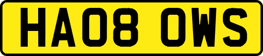 HA08OWS