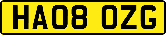 HA08OZG