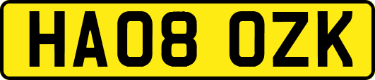 HA08OZK