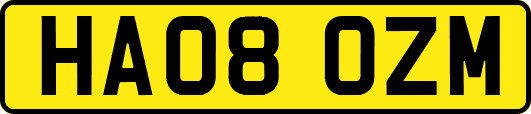 HA08OZM