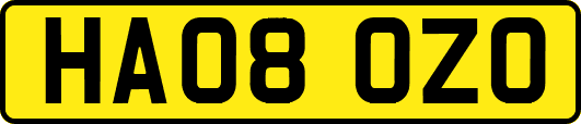 HA08OZO