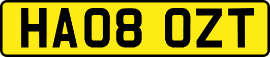 HA08OZT