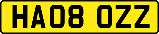HA08OZZ
