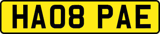 HA08PAE