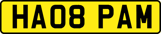 HA08PAM