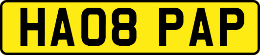HA08PAP