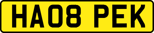 HA08PEK
