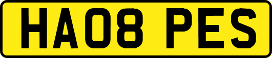 HA08PES