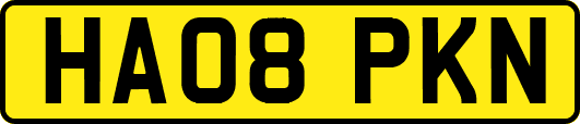HA08PKN