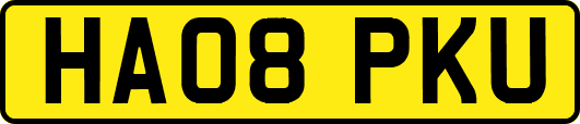 HA08PKU