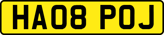 HA08POJ