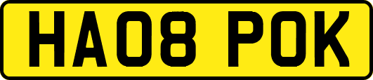 HA08POK